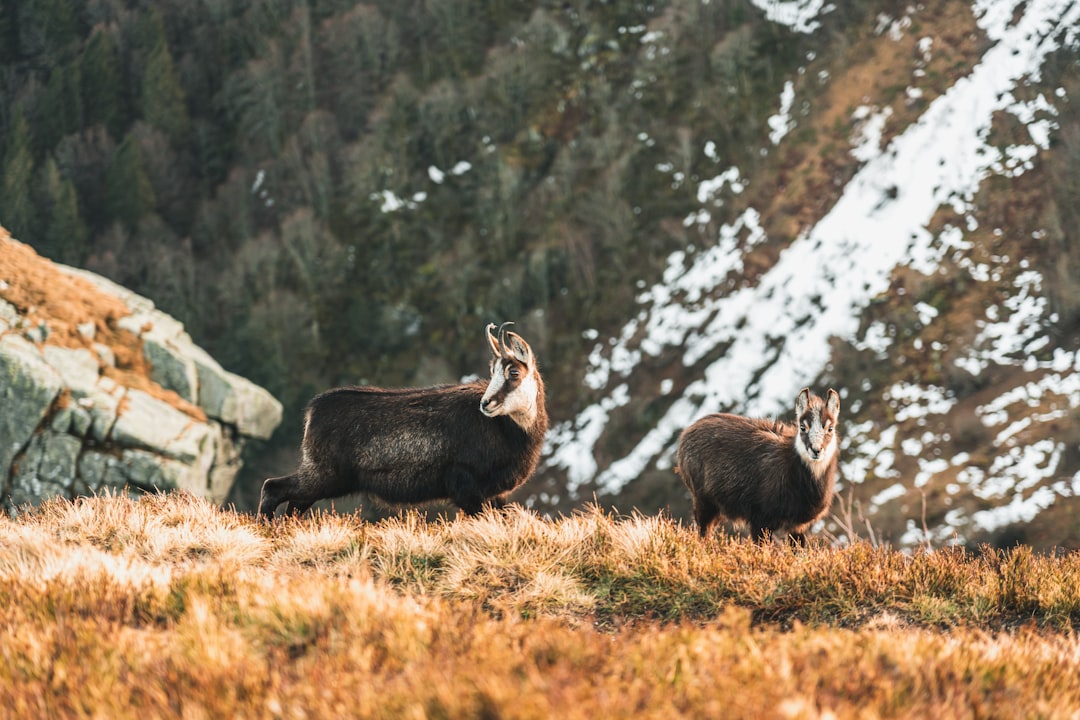 Photo Outdoor activities